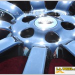 WinterChrome Care Tips