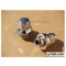 Set of 5 Jaguar Chrome Lugs 12 x 1.5 Mag Style LN3200